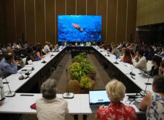 Empresas de Colombia, Perú y Chile avanzan en la protección de la biodiversidad, según estudio presentado en la COP16